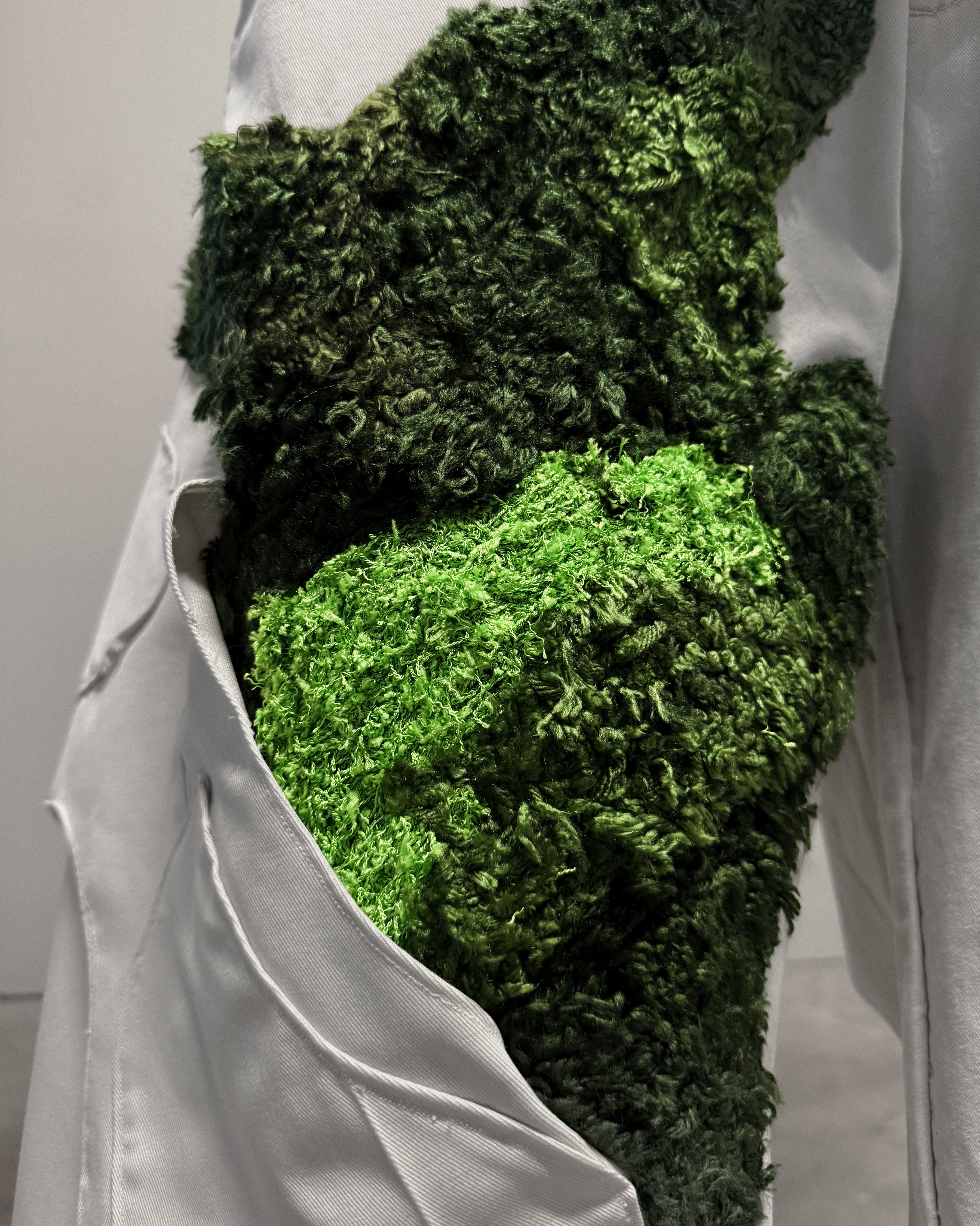 MOSS 02